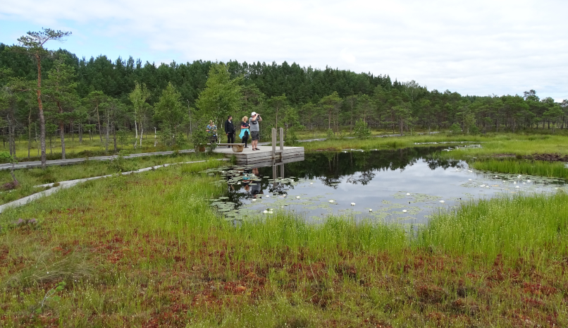 Moorwanderung im Soomaa Nationalpark Estland