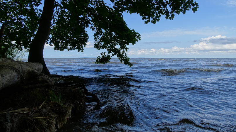 Blick auf das Stettiner Haff