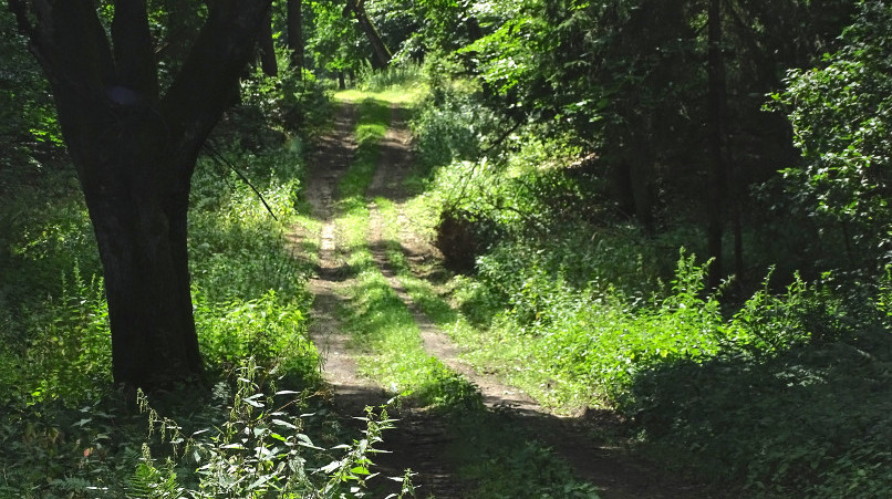 Sommerwege im Osten