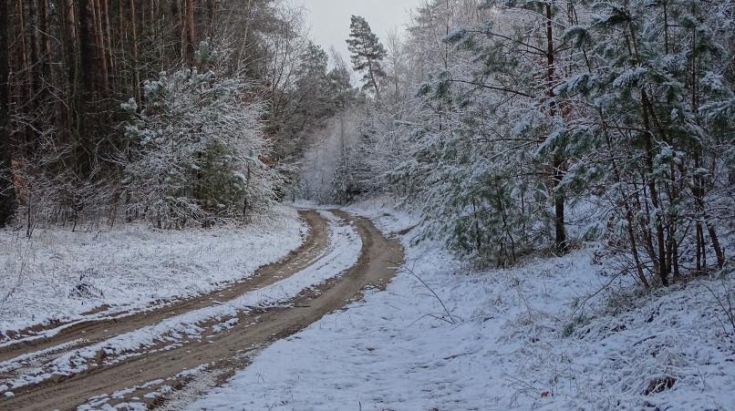 Winterweg im Nordwesten Polens